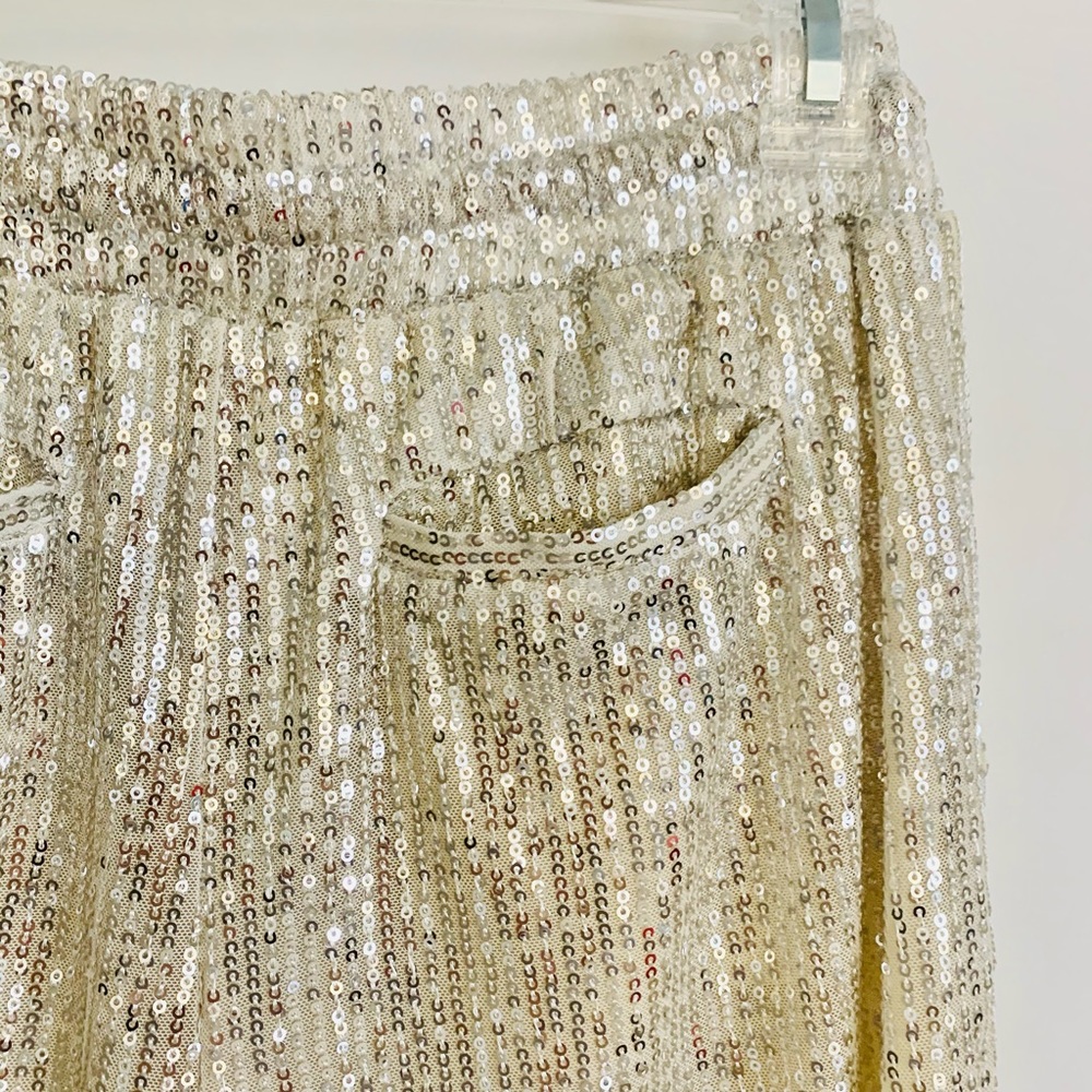 Silver Sequin Ivory Pants